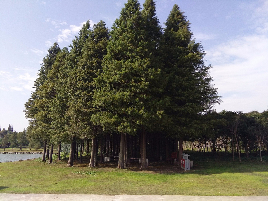 公司團建行者拓展推薦丨崇明島國家地質(zhì)公園
